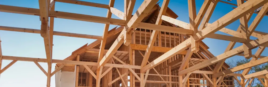 Storm & Animal Damage