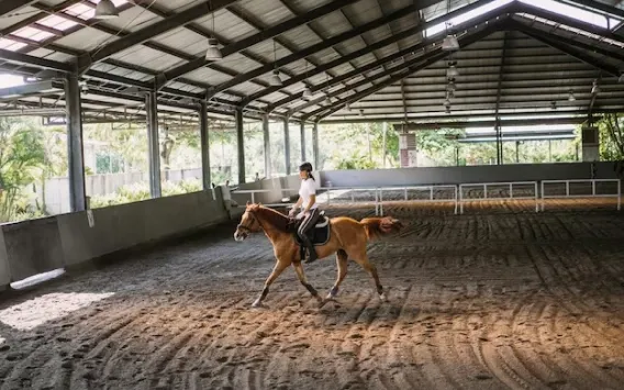 Contact Alpha Timber Solutions